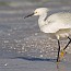 thumbs/IMG_1511.jpg